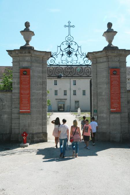 Programme saison culturelle 2018 musée du Pays Châtillonnais - Trésor de Vix