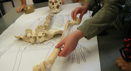 Atelier Quand l'archéologie fait parler les squelettes Initiation à l'archéologie